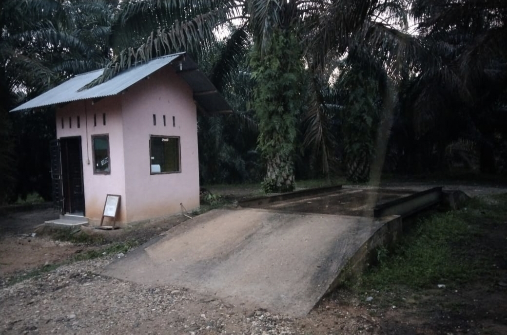 *Banyak Ram Sawit di Mukomuko Tutup Sementara, Petani Kebingungan