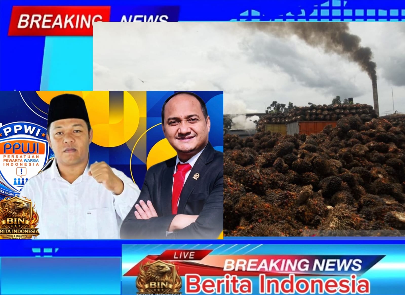 Petani Menjerit, Pabrik Kelapa Sawit Terapkan Pemotongan Sepihak hingga 9℅ pada Sortasi TBS